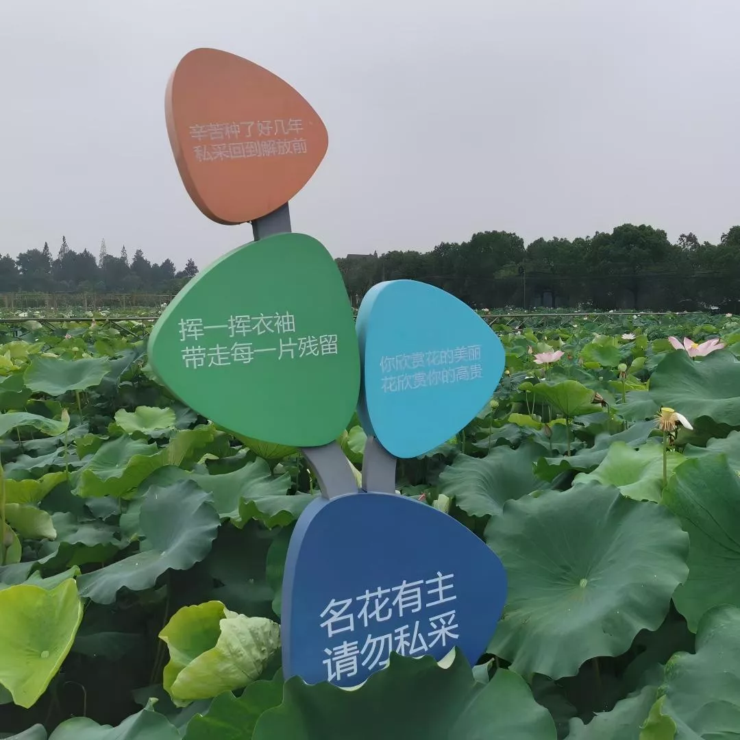 游乐园标牌 特色园区标牌 育儿园标牌 (3)(1).jpg
