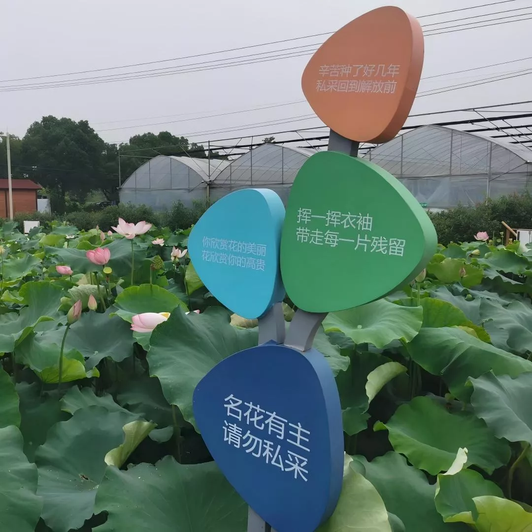 游乐园标牌 特色园区标牌 育儿园标牌 (5)(1).jpg