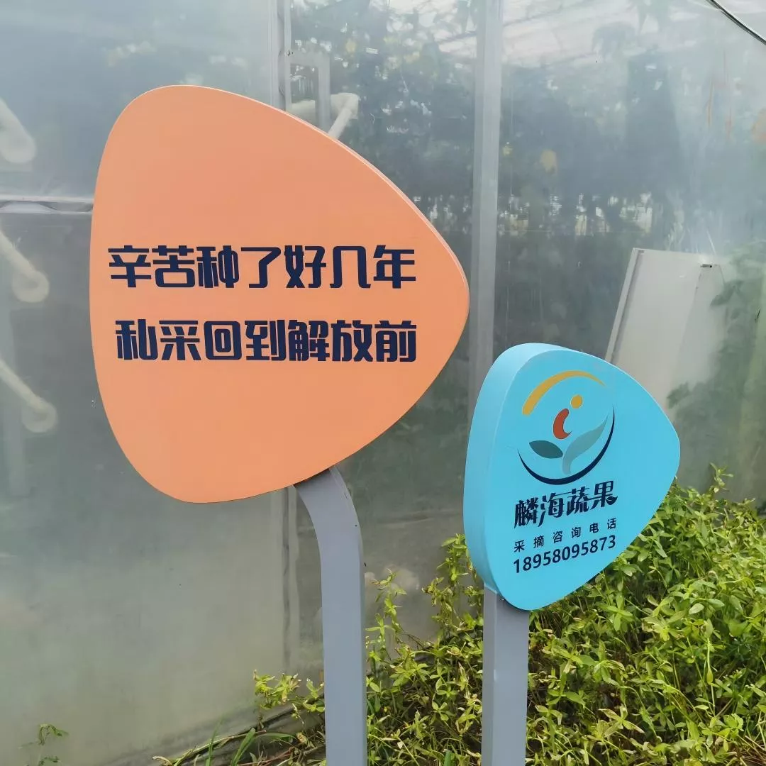 游乐园标牌 特色园区标牌 育儿园标牌 (4)(1).jpg