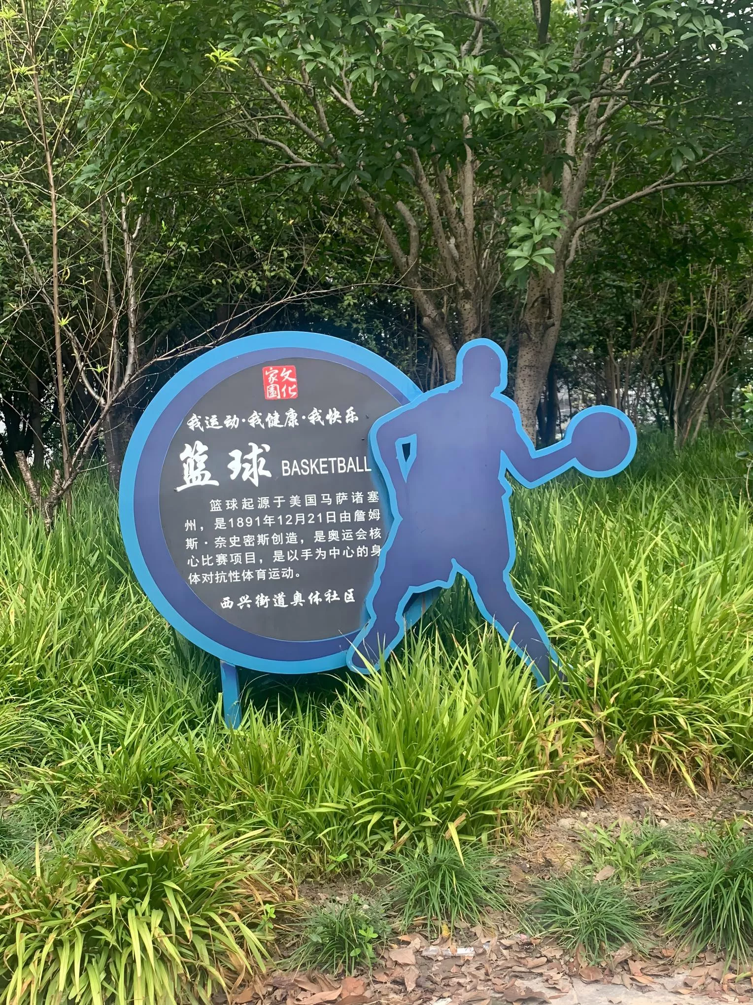 全民运动宣传 全民体育 全民运动  (20)(1).jpg