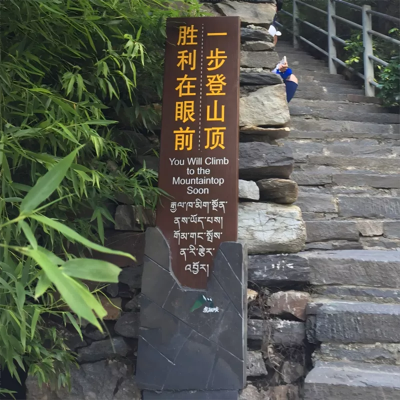 景点介绍牌 标识牌 导视图 实木标牌 标识标牌. (9)(1).png
